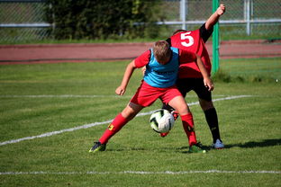 开yun官网-体育赛事志愿者管理及培训体系建设，体育赛事志愿者的工作要求